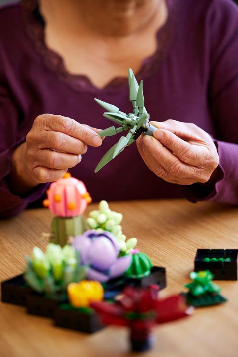 Actual product image LEGO Succulents (10309, LEGO Botanical, LEGO Rare Sets)