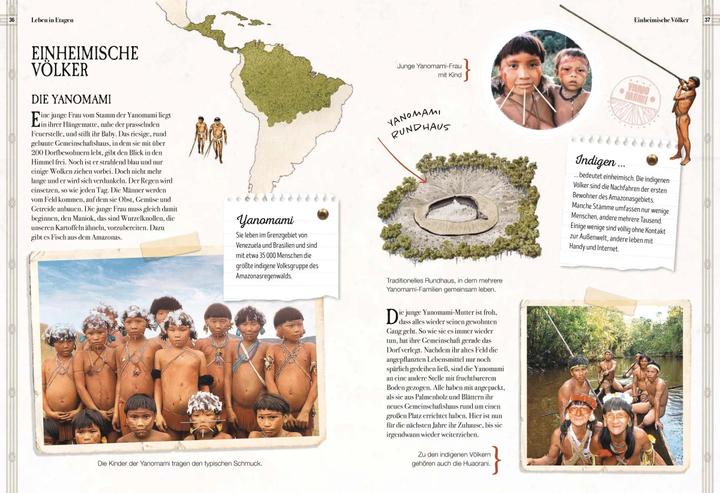 Produktbild Verborgene Welt des Regenwaldes (Deutsch, Kristina Scharmacher-Schreiber, Ferruccio Cucchiarini, 2020)