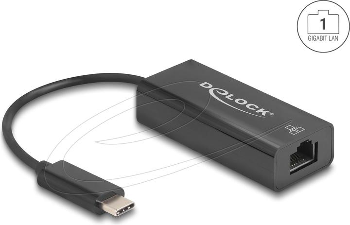 Delock USB 2.0 Type-C Adapter zu 10/100 Mbps LAN (USB 2.0, RJ45 (1x))