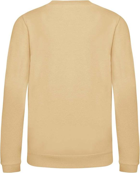 Immagine prodotto Awdis Felpa Just Hoods (116)