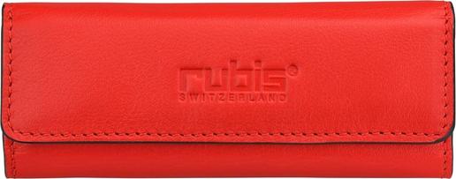 Actual product image Rubis Tweezers Shiny with case, oblique, silver