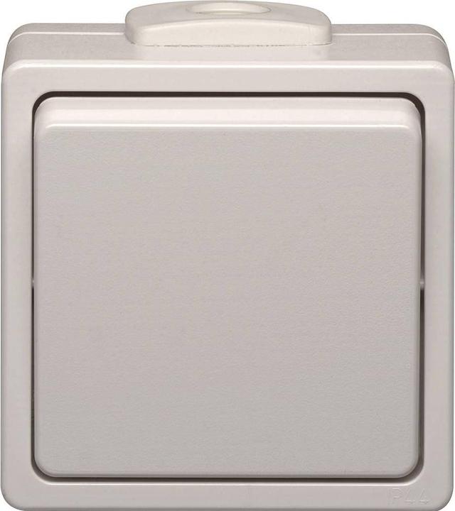 Image du produit N&L Elektrotechnik N & L 28389 Interrupteur complet pour montage en surface Gris clair