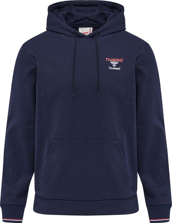 Actual product image hummel Ic Dayton Hoodie (XS)