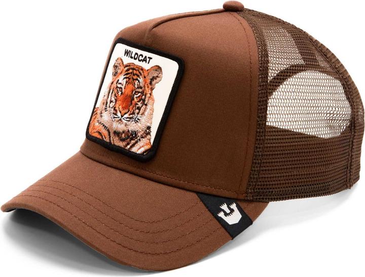 The Wildcat Tiger
