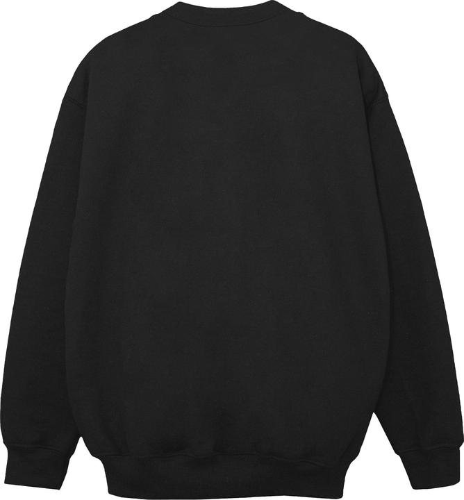 Actual product image Disney Boys Frozen Elsa And Anna Sisters Sweatshirt (140, 146)