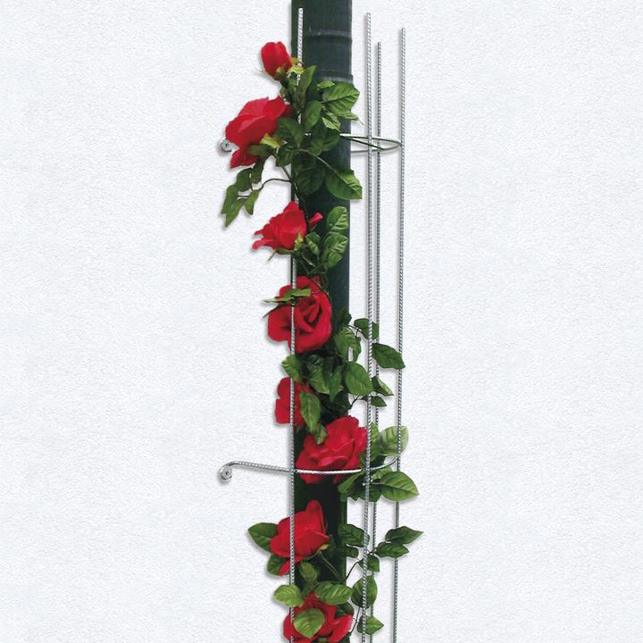 Produktbild Bellissa Fallrohrspalier (18 cm)