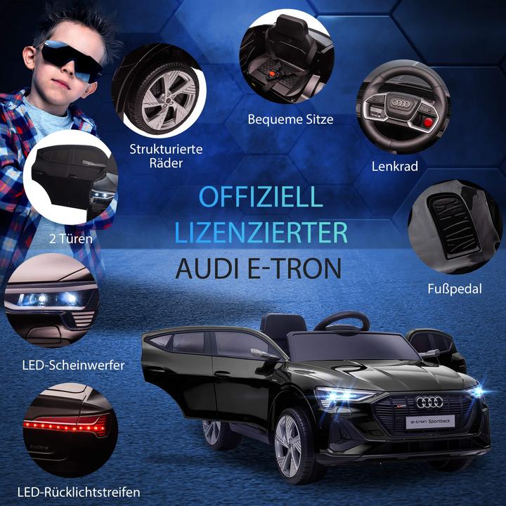 Actual product image Jamb Audi e-tron (12 V)