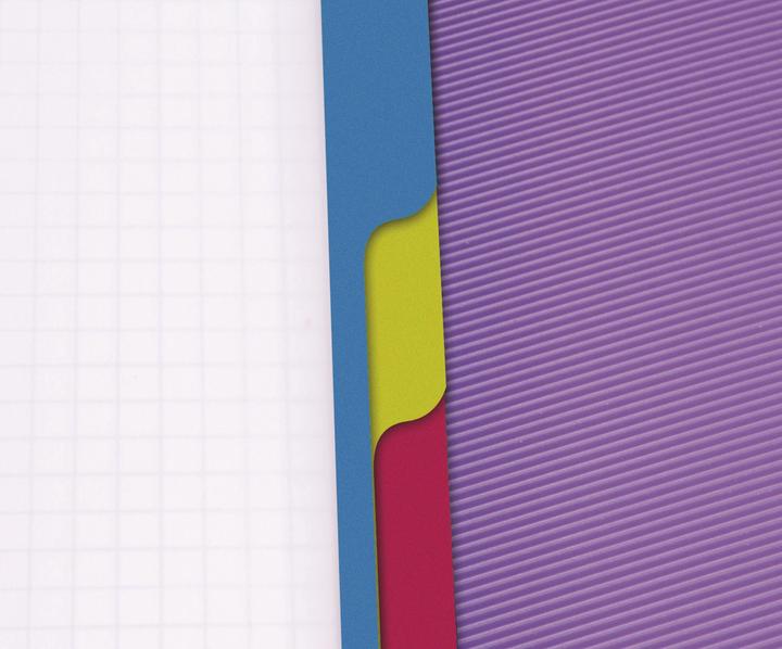 Actual product image Clairefontaine Linicolor Evolutive Book (A4+, Checked, Soft cover)