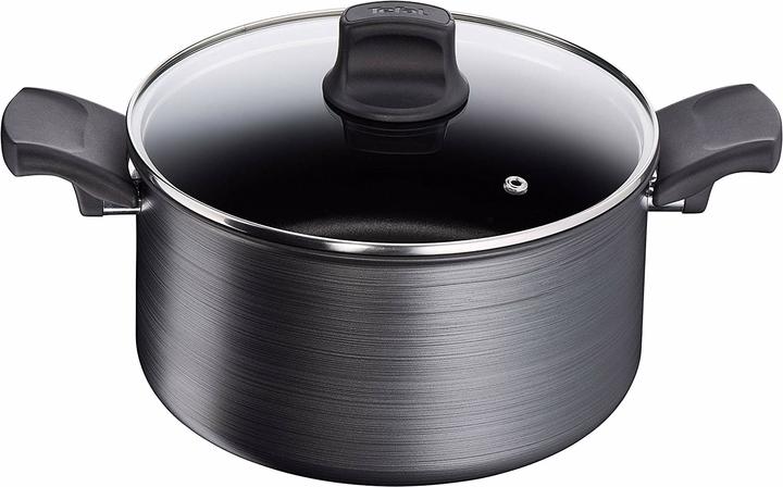 Tefal Titanium Fusion (24.90 cm, Kochtopf)