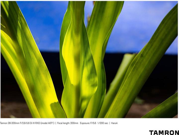 Produktbild Tamron AF 28-200mm f/2.8-5.6 Di III RXD, Sony E (Sony E, Vollformat)