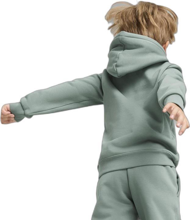 Image du produit Puma Sweat à capuche ESS No. 1 Logo FL PS (110)