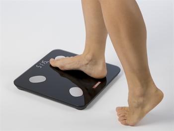 Image du produit Gima 27086 (180 kg)