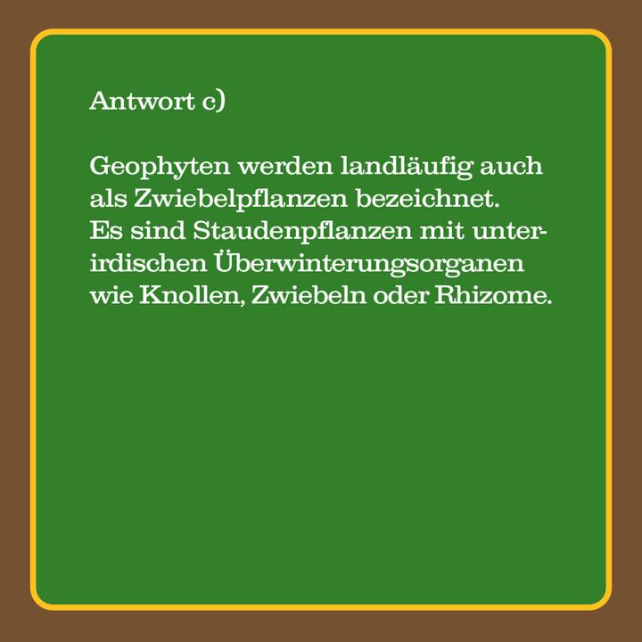 Produktbild Das Garten-Quiz (Deutsch)