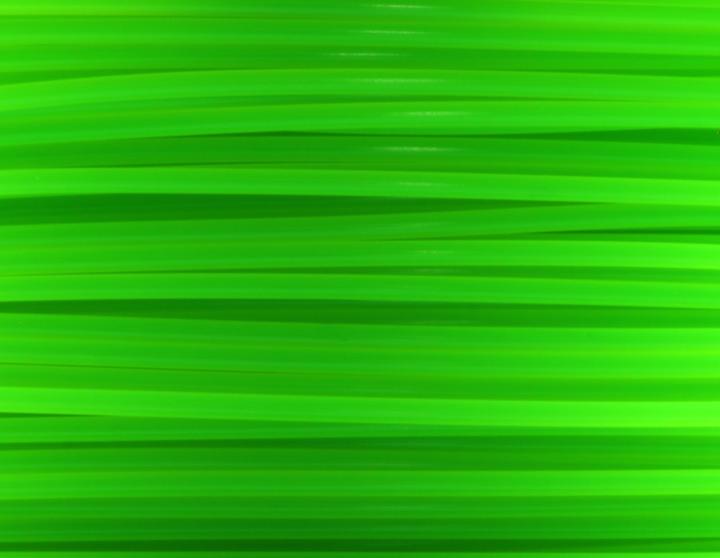 Actual product image FlashForge Filament (PLA, 1.75 mm, 1000 g, Green)