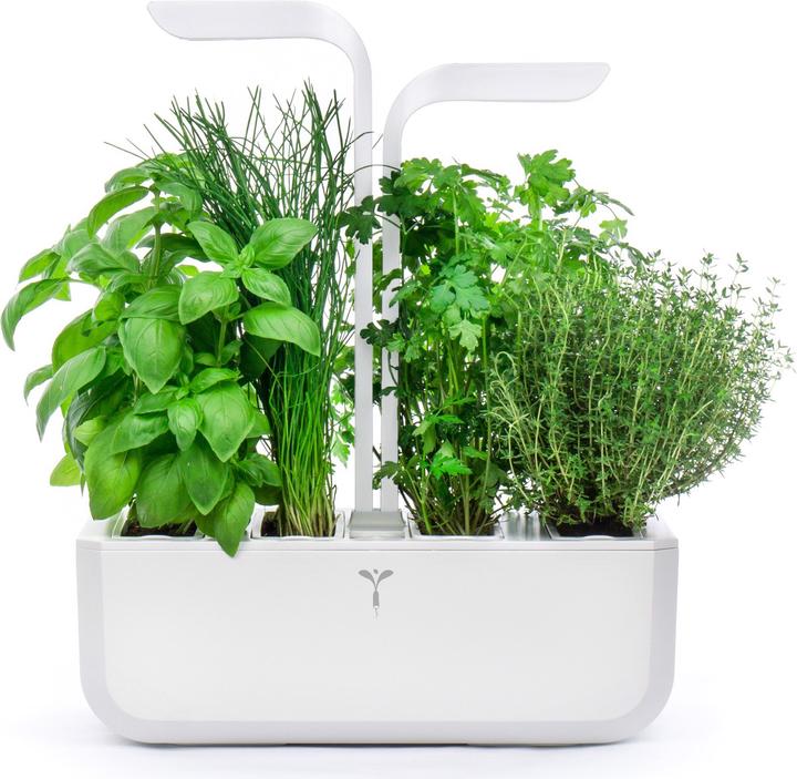 Image du produit Véritable Classic (18.50 cm)
