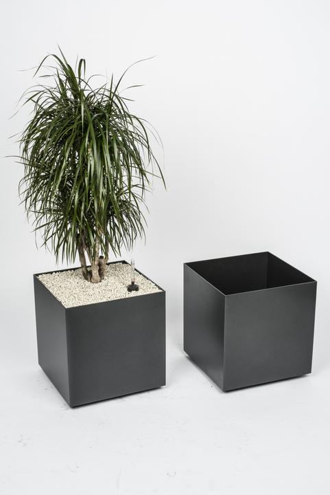Produktbild Stebler Pflanzenbox (80 cm)