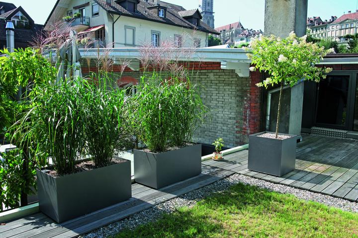 Produktbild Stebler Pflanzenbox (80 cm)