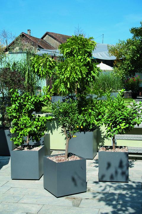 Produktbild Stebler Pflanzenbox (80 cm)