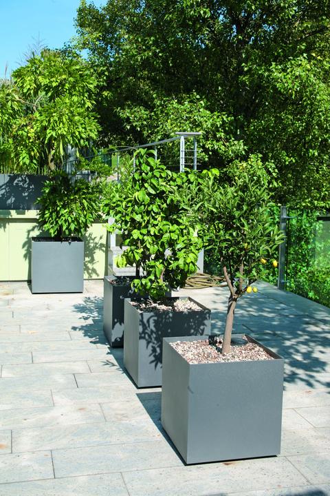 Produktbild Stebler Pflanzenbox (80 cm)