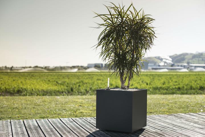 Produktbild Stebler Pflanzenbox (80 cm)
