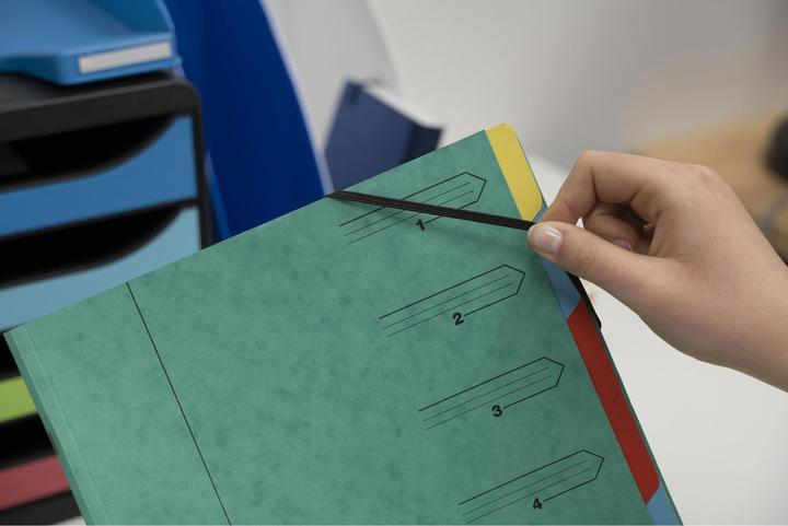 Productafbeelding Exacompta Geniete dossiermappen (A4, 1 x)
