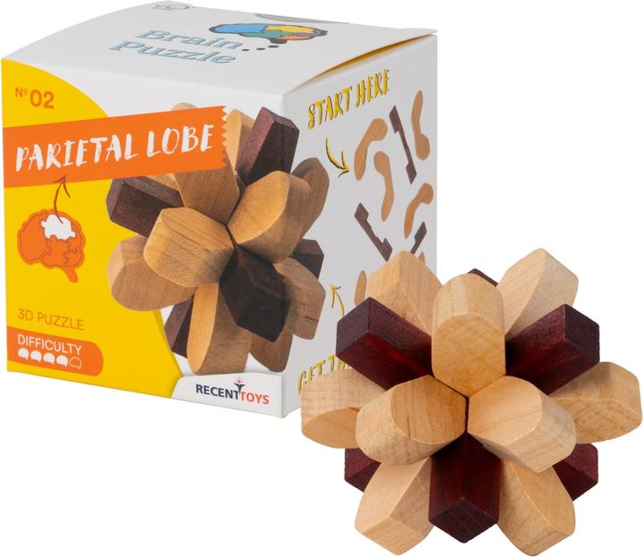 Actual product image Recent Toys Brain Puzzle No.2 Parietal Lobe (German)