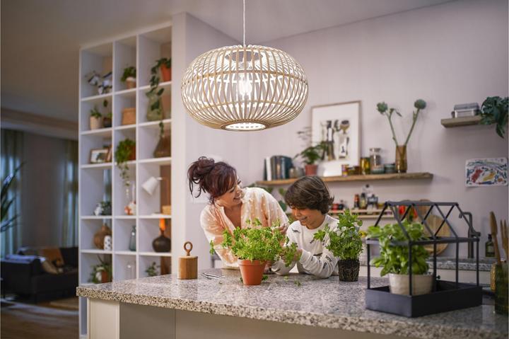 Immagine prodotto Philips LED classico (E27, 2.30 W, 485 lm, 1 x, A)