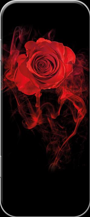 Actual product image Aristo Slobber tin Red Rose