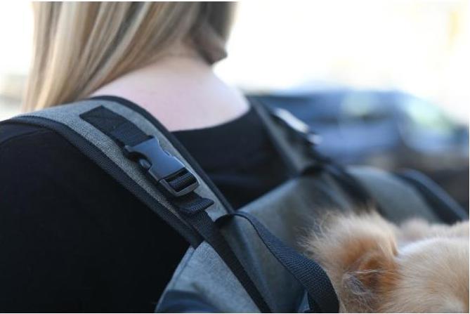 Immagine prodotto Kerbl Vacanza con zaino per cani (Cane, Riflettori, Lavabile in lavatrice)