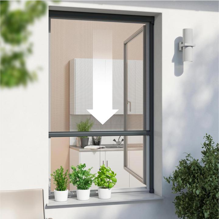 Actual product image Windhager Roller blind (100 x 160 cm)