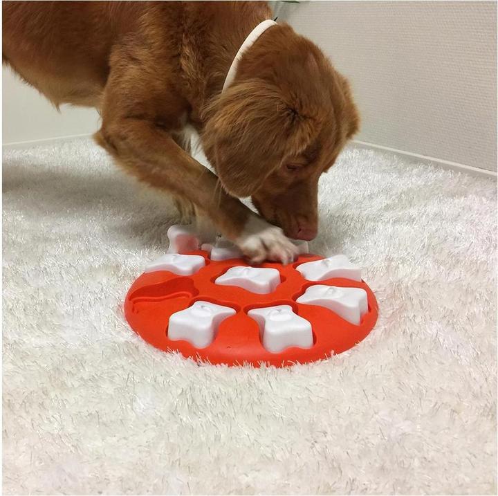 Actual product image Nina Ottosson Dog Smart (Intelligence toy dog)