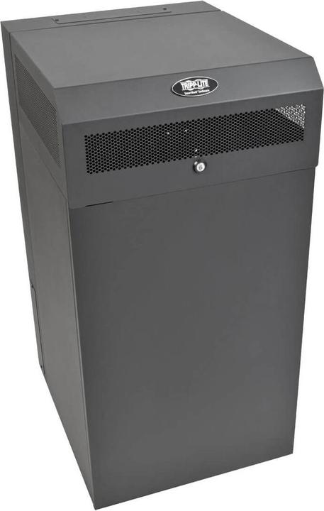 Eaton SmartRack 16U Low-Profile Vertical-Mount Wall-Mount Half-Height Server Rack Enclosur (16 RU, 19 inch rack)