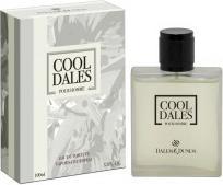 Image du produit Dales&Dunes Parfum Cool Dales 100ml EDT homme (100 ml)