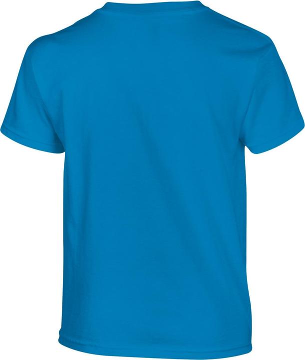 Actual product image Gildan Childrens/Kids Heavy Cotton T-Shirt (S)