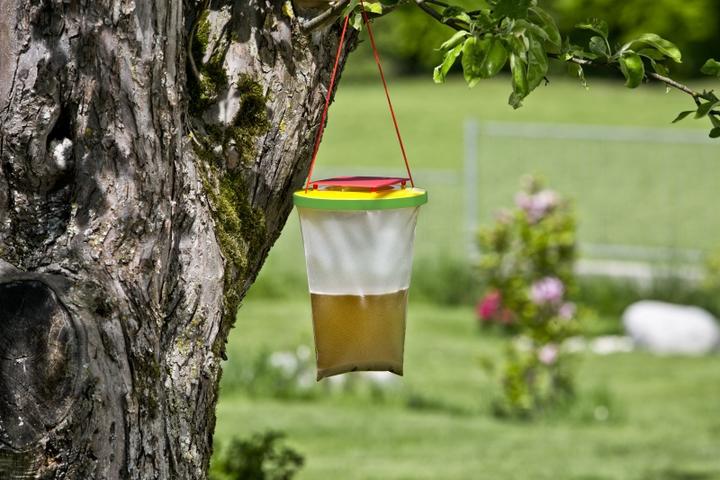 Produktbild Windhager Wespen- und Fliegenfalle