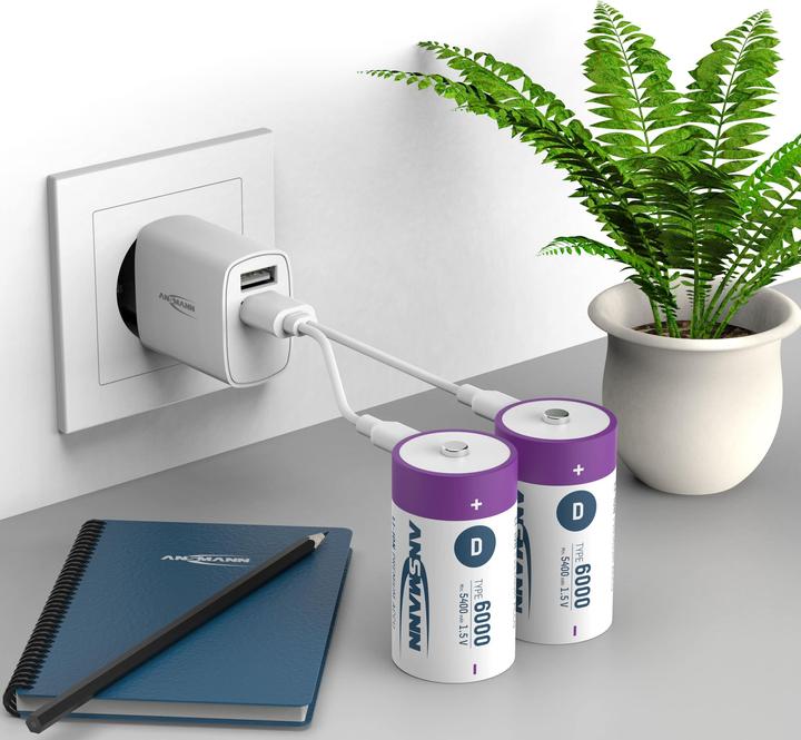 Produktbild Ansmann Premium Rechargeable (2 Stk., D, 6000 mAh)