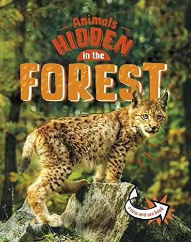 Immagine prodotto Animals Hidden in the Forest (Inglese, Jessica Rusick, 2023)