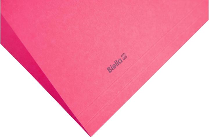 Actual product image Biella Suspension file (A4, 1 x)