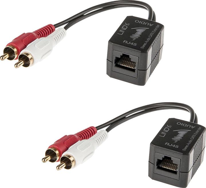 Actual product image Lindy Cat.5/6 100m 2x RCA (Extender)