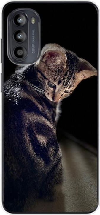Young cat