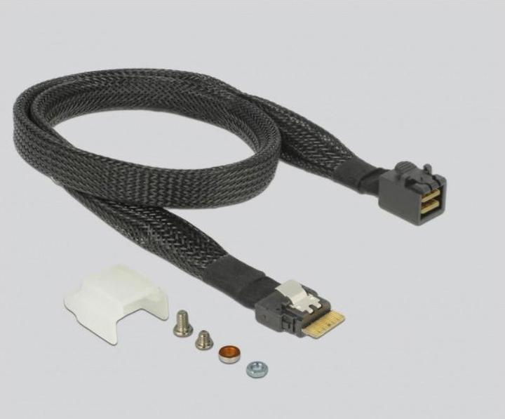 Produktbild Delock Konverter U.2 SFF-8654 oder SATA zu 1 x M.2 Key M Slot