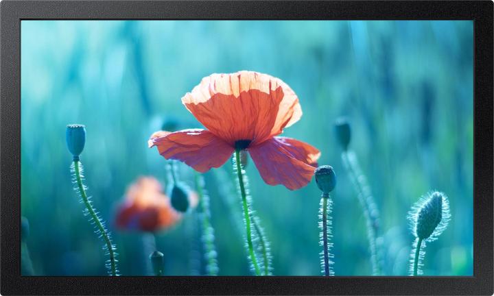 Actual product image Samsung Smart Signage QB13R (1920 x 1080 pixels, 13")