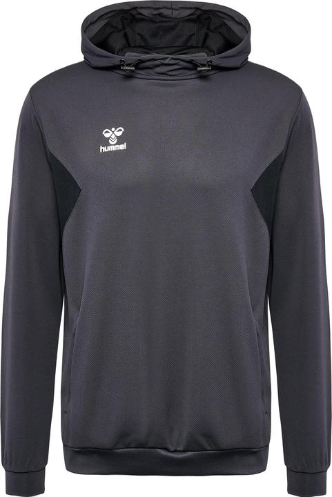 Actual product image hummel Hmlauthentic Pl Hoodie (M)