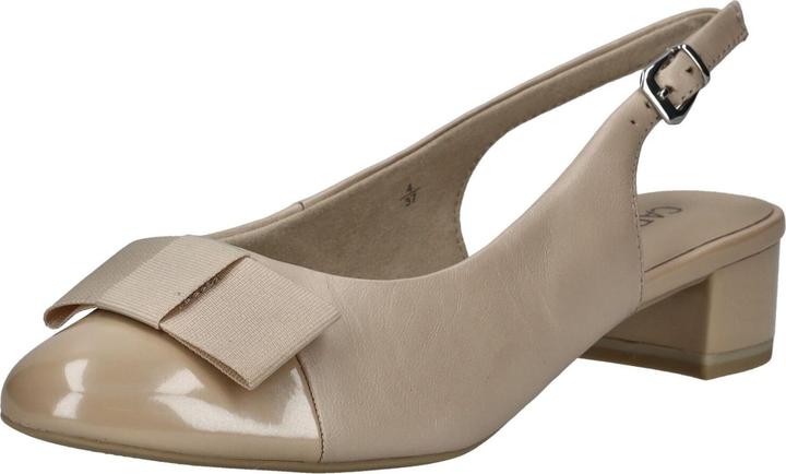 PETTINE BEIGE I 409
