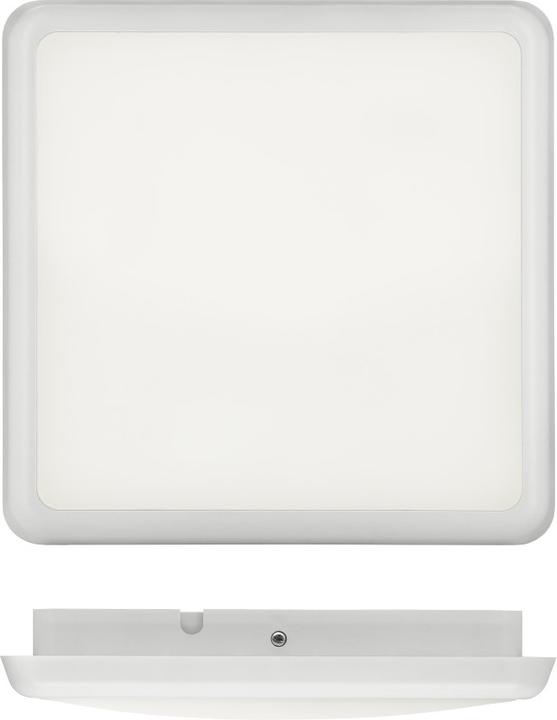 BEG 93615 Extremely flat LED light (2600 lm)