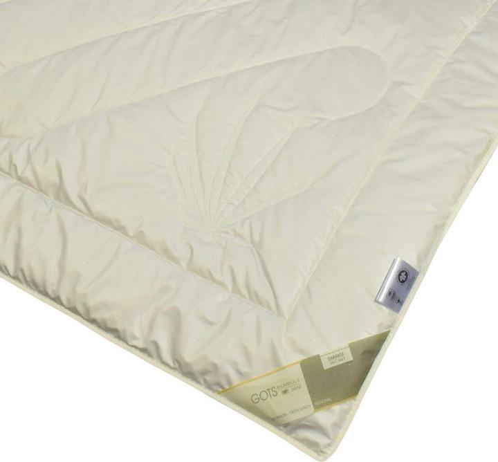 Produktbild Traumschlaf Bio Hanf (750 g, 155 x 220 cm)