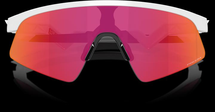 Actual product image Oakley Resistor Sweep