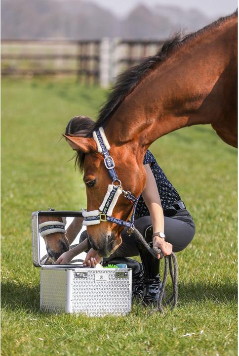 Image du produit Imperial Riding Shiny