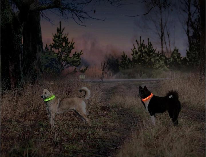 Produktbild Karlie Visio Light Led Langhaar Hundehalsband (Hund, Spazieren)