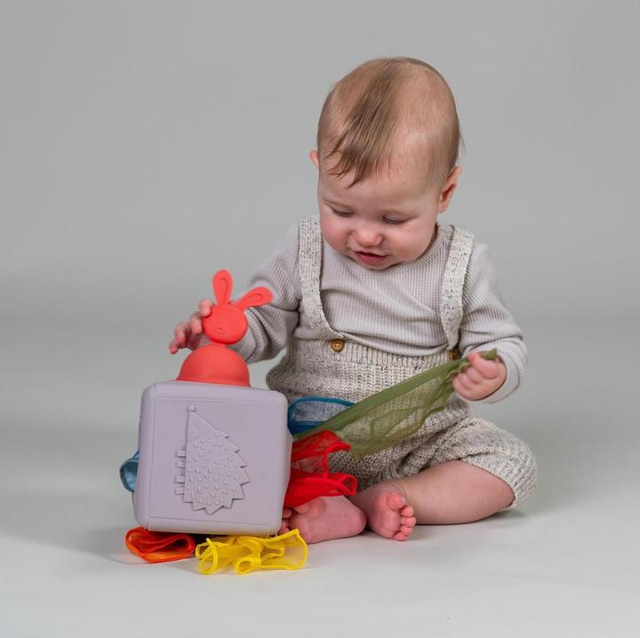 Actual product image Taf Toys Wipes box Pop Up